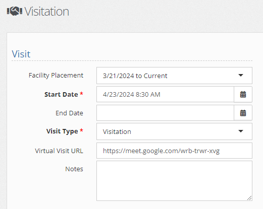 Virtual Visitations